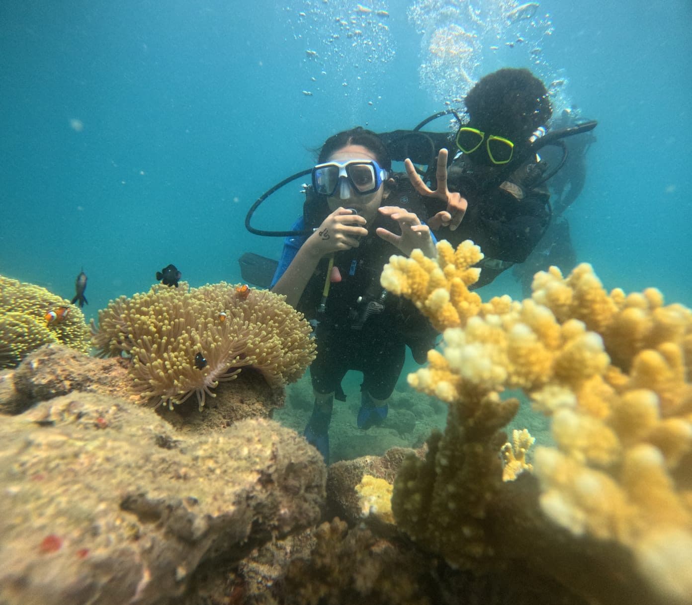 PADI certification courses in Havelock