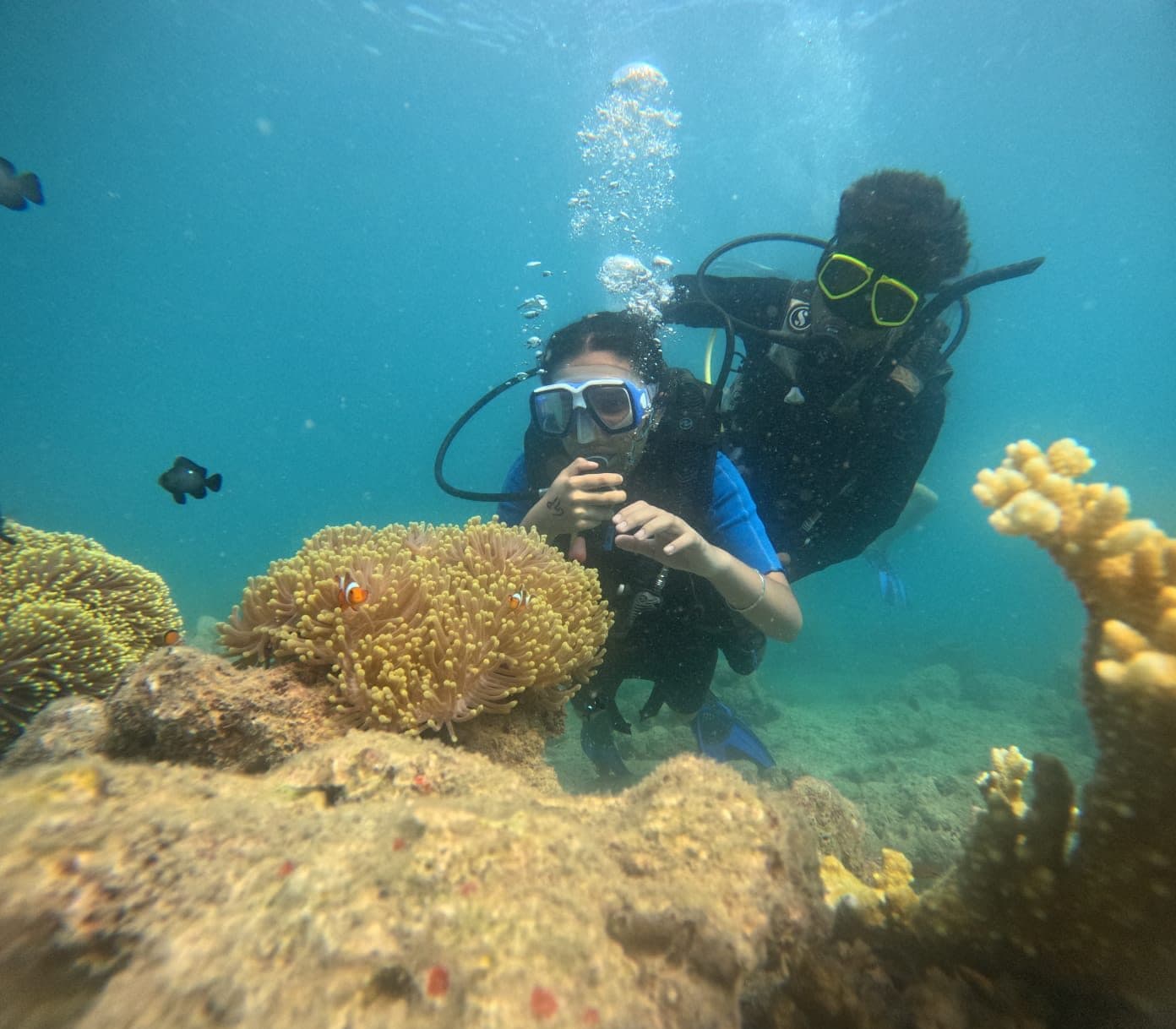 Try Scuba Dive in Havelock