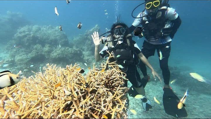 50-Min Signature Dive — Tribe Gate, Havelock
