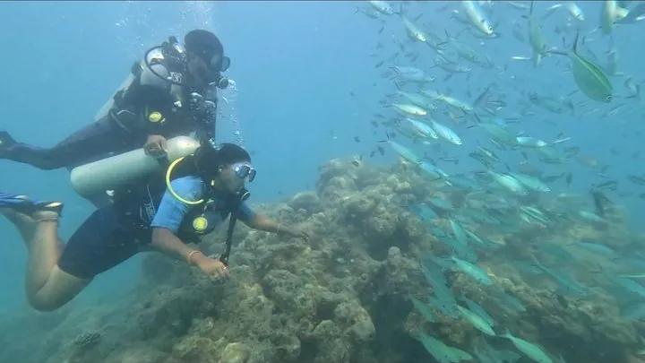 Fun Dives — Red Pillar & Tribe Gate — Red Pillar & Tribe Gate, Havelock