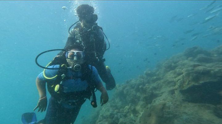 Scuba diving in Havelock, Andaman — photo 7