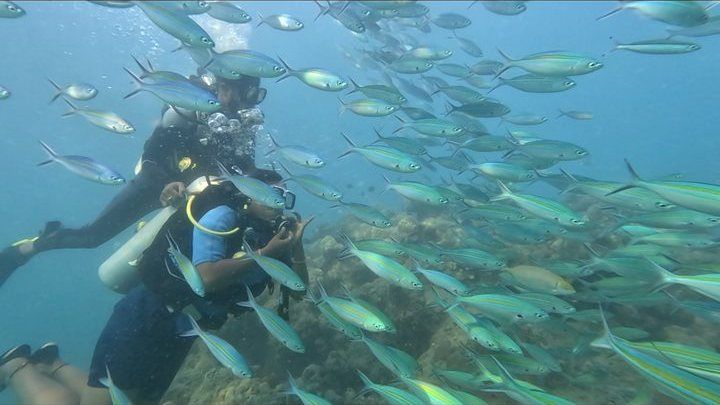 Scuba diving in Havelock, Andaman — photo 8