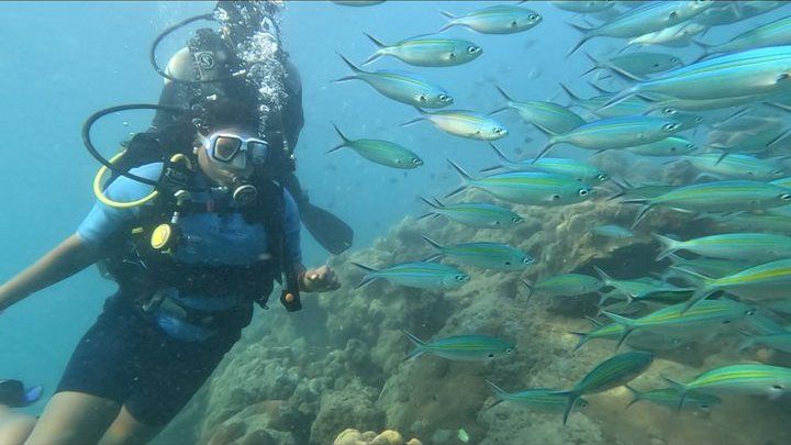 Scuba diving in Havelock, Andaman — photo 9