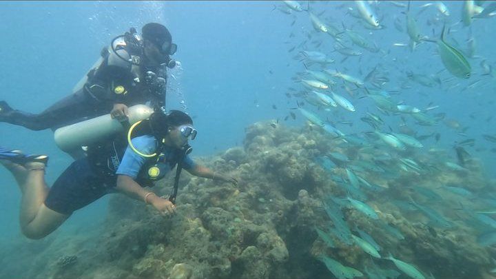 Scuba diving in Havelock, Andaman — photo 10