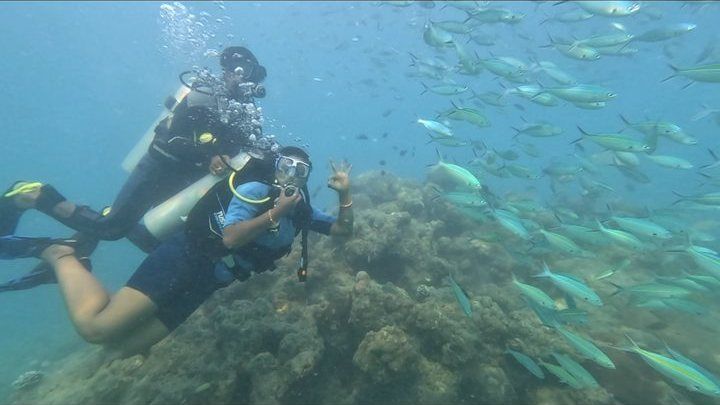 Scuba diving in Havelock, Andaman — photo 11