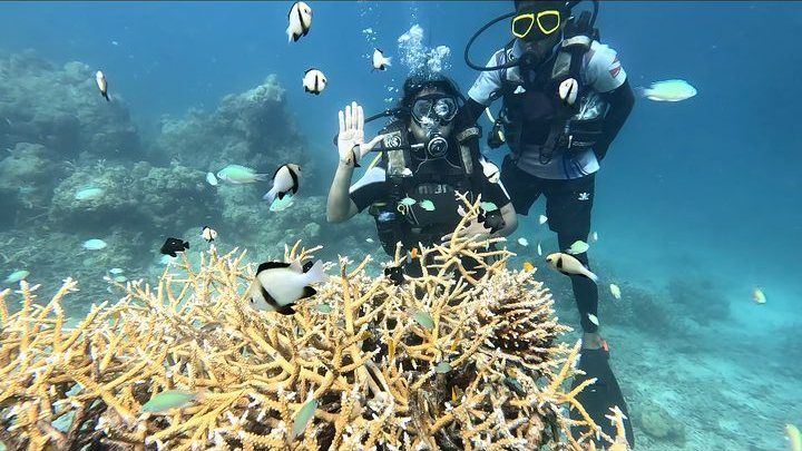 Scuba diving in Havelock, Andaman — photo 12