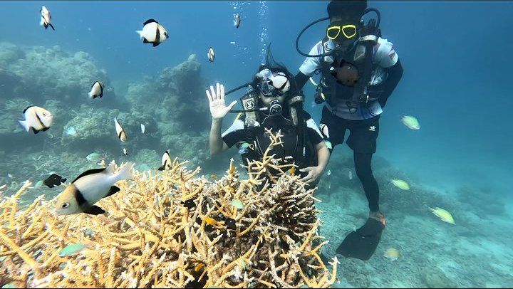 Scuba diving in Havelock, Andaman — photo 13
