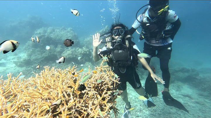 Scuba diving in Havelock, Andaman — photo 15