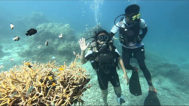 Scuba diving in Havelock, Andaman — photo 16