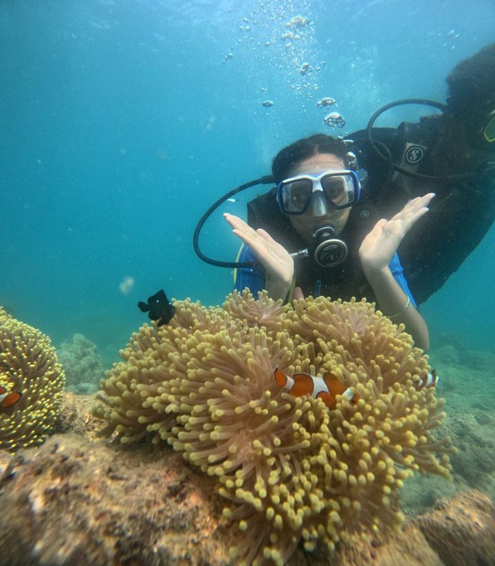 Diver hovers beside a vivid anemone, hands raised as a clownfish peeks out below