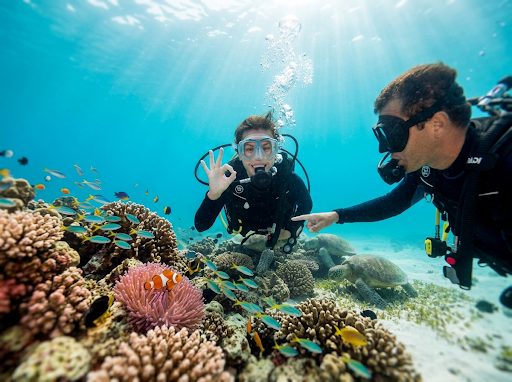 A diver gives an OK signal beside their instructor over the reef at Havelock